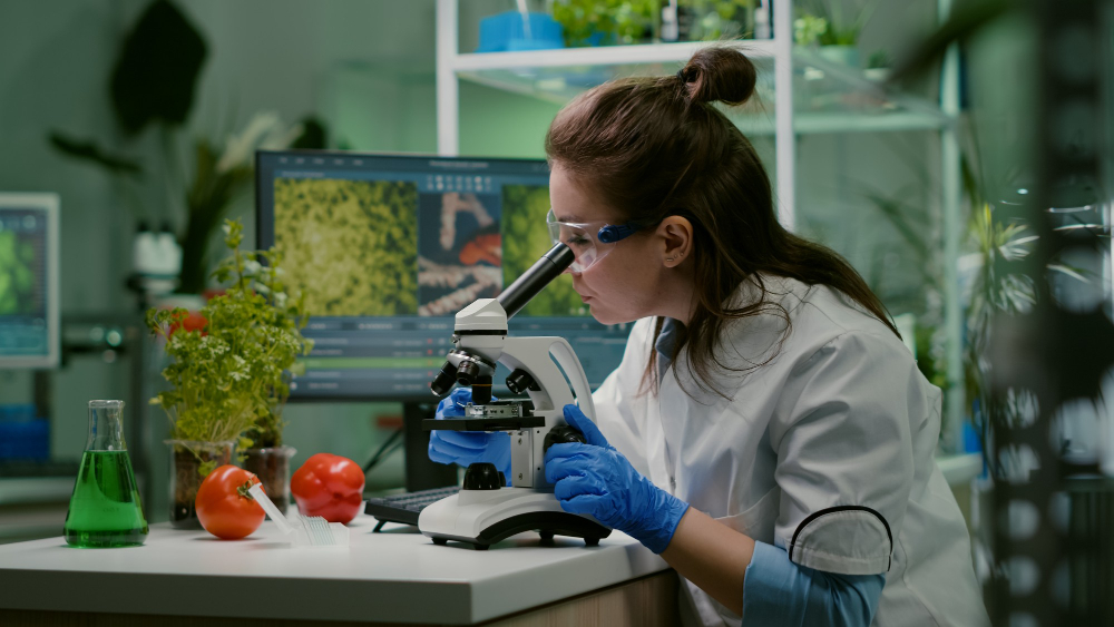 arugula researcher at cambridge