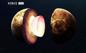 venus lusk