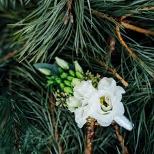 annice b wood obituary maryland