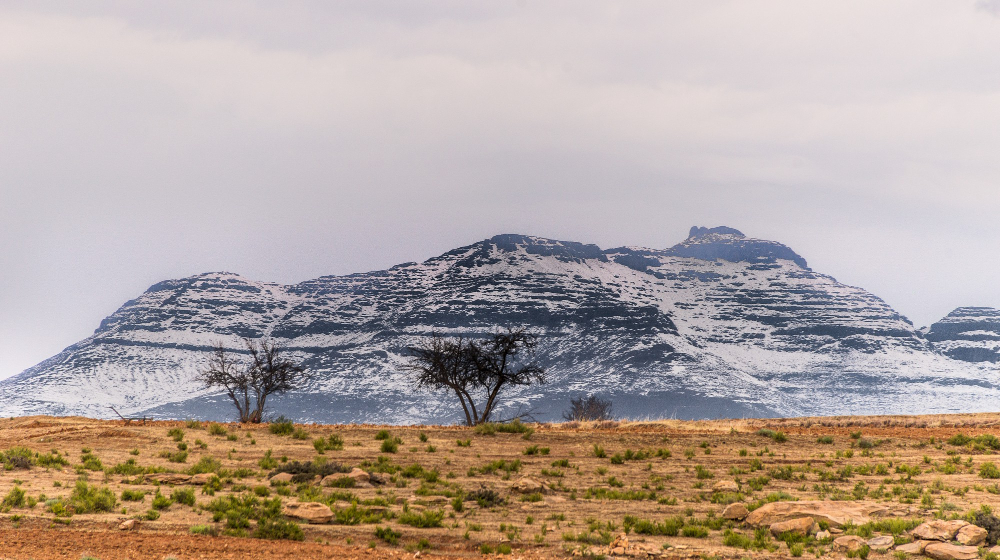 9 woody rd white plains